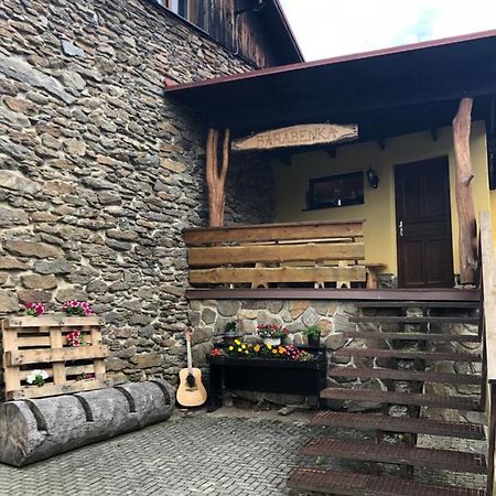 Spicak - U Barabu Apartment Zelezna Ruda Bagian luar foto