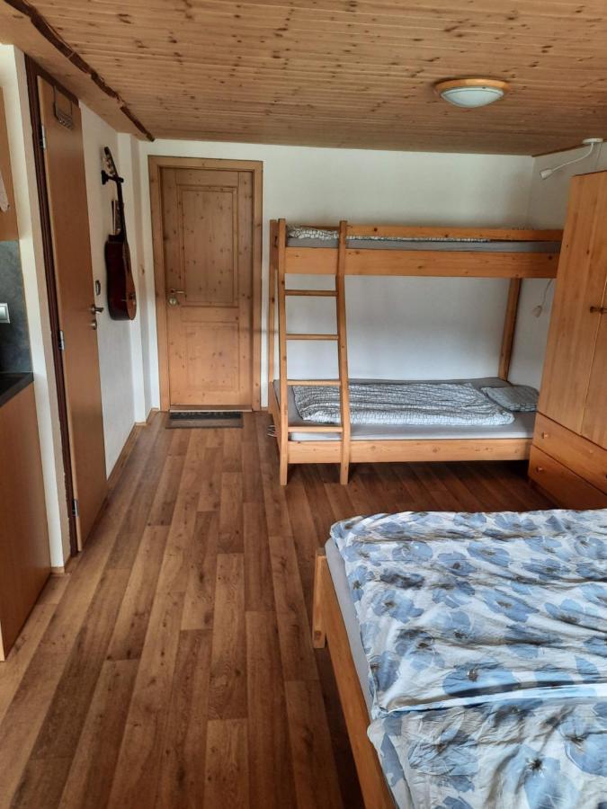 Spicak - U Barabu Apartment Zelezna Ruda Bagian luar foto