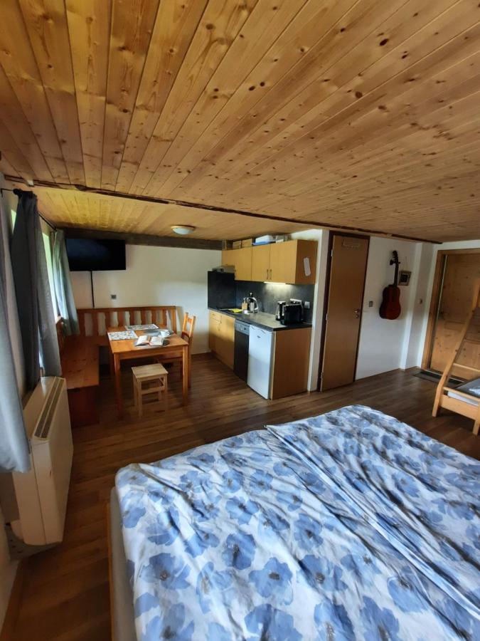 Spicak - U Barabu Apartment Zelezna Ruda Bagian luar foto